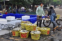 渔民大丰收之场面