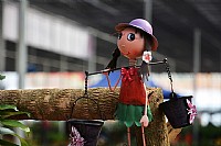 迎春花市春意浓