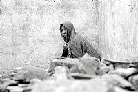 【交作业】芦苇地の人与大自然的交融