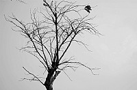 作业 0111 lost in past