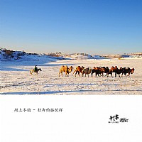 坝上冬韵 - 狂奔的骆驼群