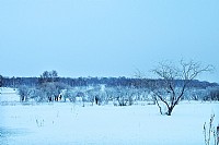 坝上冬韵 - 梦幻小河头