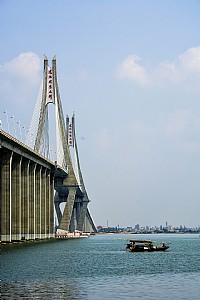 桥下枝头闹春意——中澳花园随拍