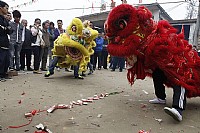 春风沉醉的迈龙b