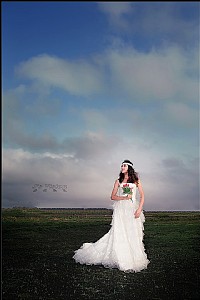 我和春天有个约会