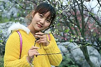 桃花树下美少女