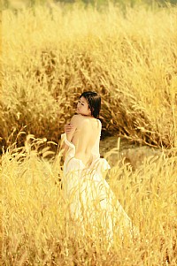 闲来无事，又修几张，深林公园后山芦苇，大家拍砖