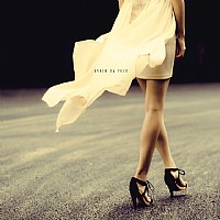 六号码头的记忆