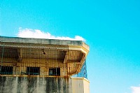 雏夏-给这阳光洒入的城市。