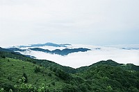 大容山莲花景区