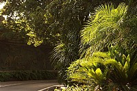 闲情湖光岩  随手拍小景