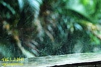 午后。乌云。阳台。雨丝