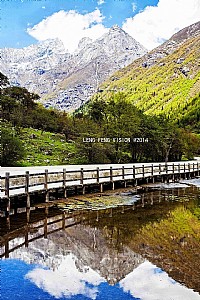 走进四川双桥沟