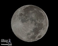 我家阳台所拍的超级月亮