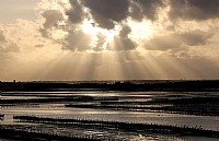 版主说得好，跟一张。