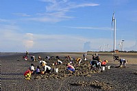 美丽的海——后海