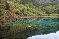 九寨沟“五花海”风光