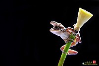 妈妈背我去上班