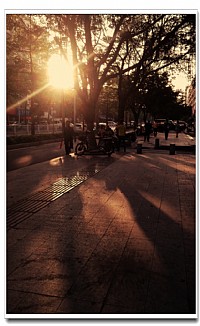 手机拍摄湛江风景