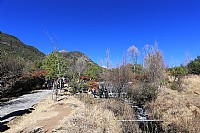 丽江之源-玉水寨