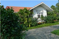 几张公园随拍，原来可以这样美！