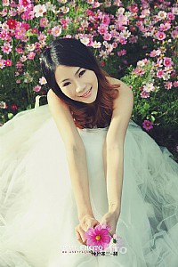 花海-格桑花之恋