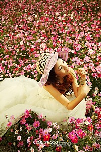 格桑花之恋-补充几张