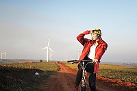 我们骑行在菠萝的海中