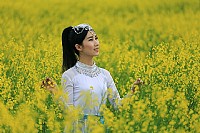 赏菜花的少女