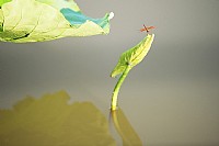 湿地公园遇见你