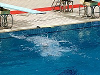 广东省第十四届运动会跳水