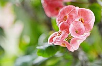 窗外淅淅沥沥起了雨