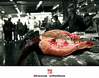 【  行走集  】2016