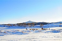 坝上雪原牧马人