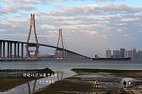 静好的湛江海湾大桥