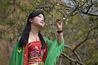 忽如一夜春风来