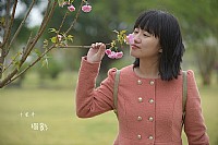 渔港公园赏樱花