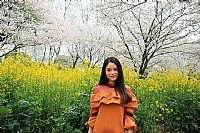 武汉东湖赏樱花