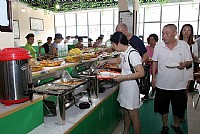 素香菜好，素百味素食自助餐厅火爆迎客