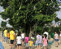 2018年7月27日“走进绿色生活，争当环保小卫士”