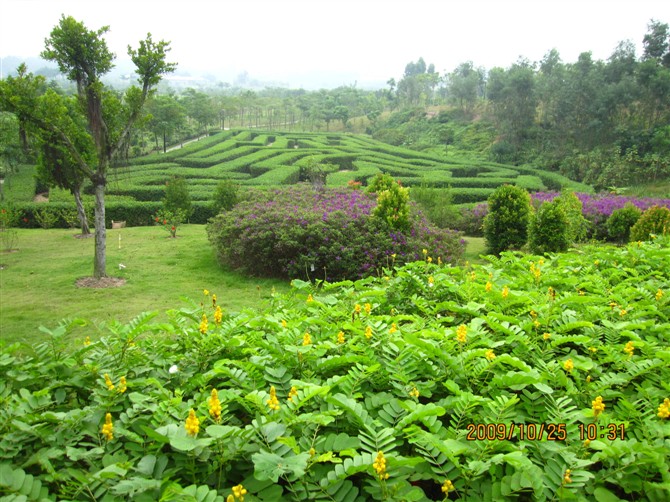 按此在新窗口浏览图片