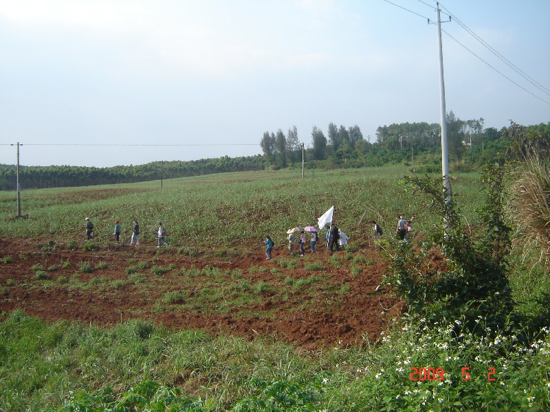 按此在新窗口浏览图片