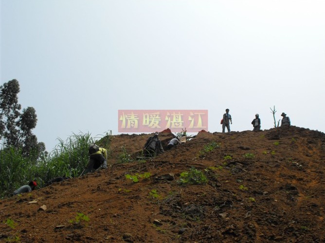 按此在新窗口浏览图片