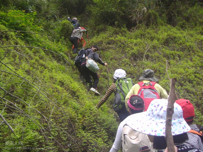 按此在新窗口浏览图片