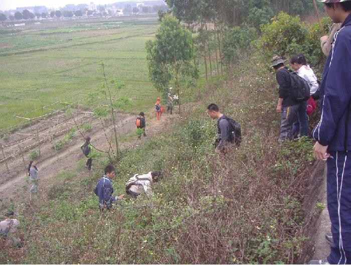 按此在新窗口浏览图片