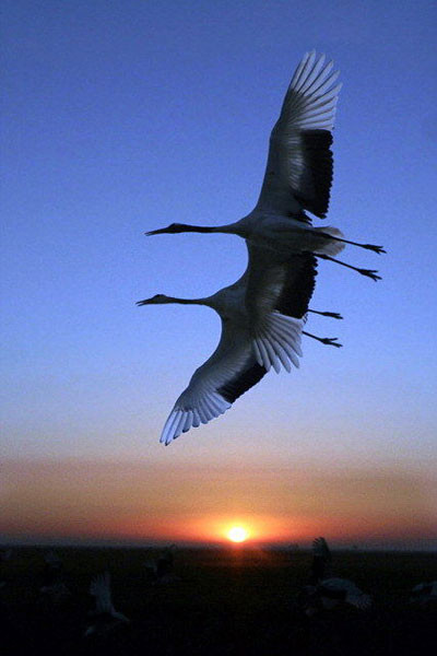 从典故来看礼仪起源1