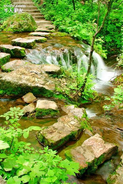 旅游达人的自助蜜月游30招1