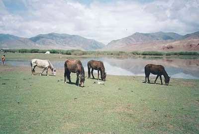 中国最美的10个地方2