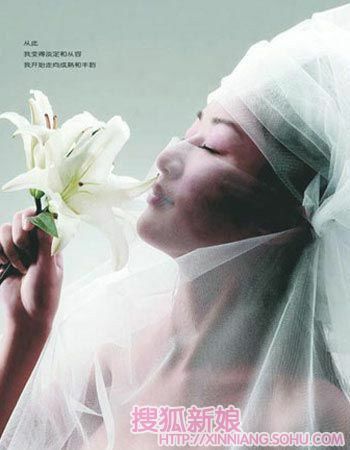 选择司仪的六个条件1