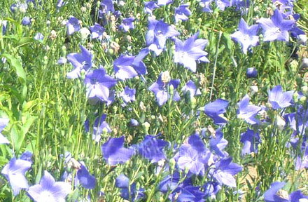 蜜月旅行之：北京怀柔不夜谷1